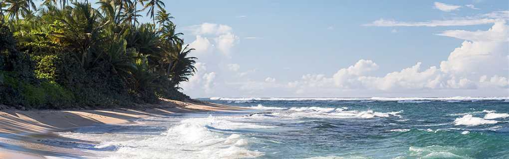 Dorado Beach Ritz-Carlton Accommodations and Amenities