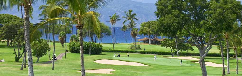 maui most expensive Golf courses Financial Aspects of Golf Courses