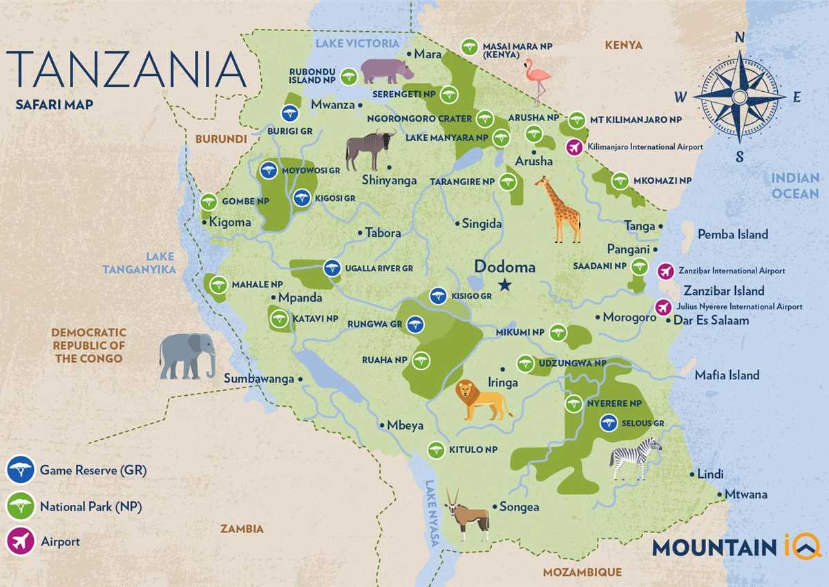 Main Types of Safaris in Africa for Groups