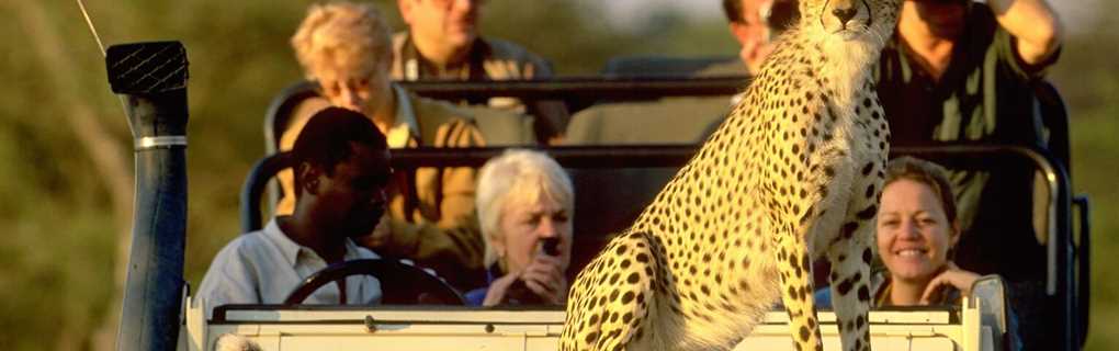 Main types of safaris in Africa