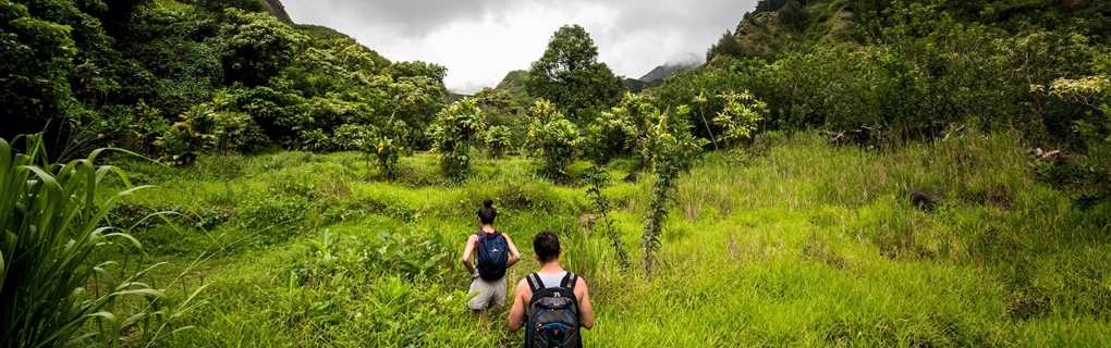 Planning Your Dream Maui Vacation? Avoid These Common Mistakes Trying Local Cuisine