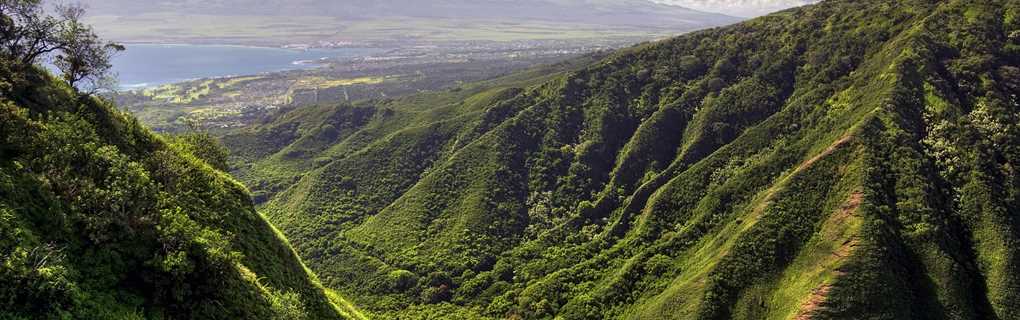 The Ultimate Guide to a Multi-Generational Maui Vacation Creating Lasting Memories