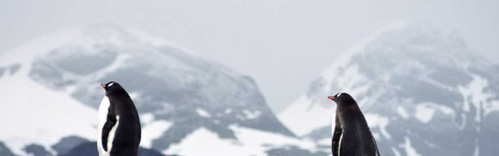 Antarctica