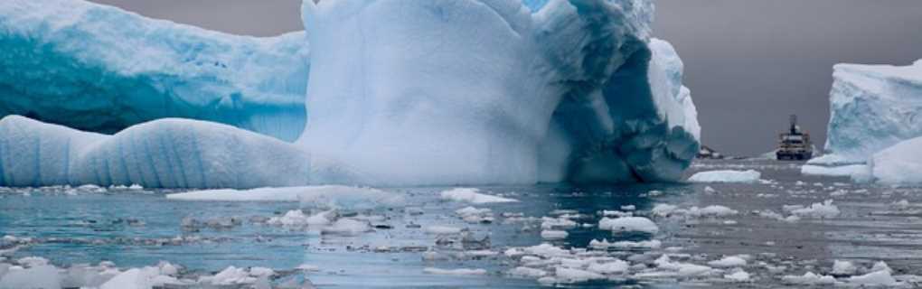 antartica cruise