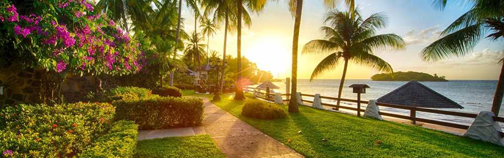 sun ocean
