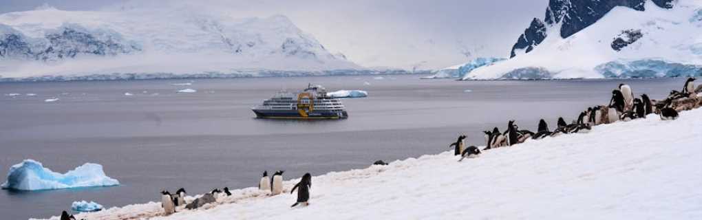 antartica