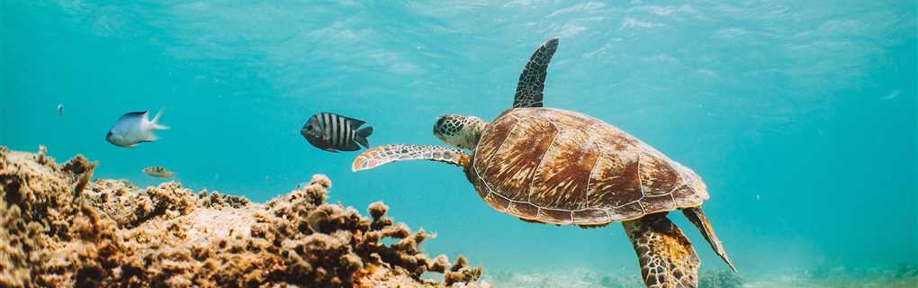 Seabourn Cruises Australia