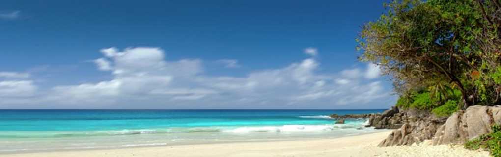Virgin Voyages Cruise